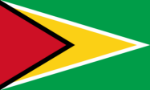 Vlag Guyana - 100x150cm Spun-Poly